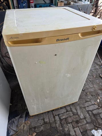 Oude (vieze) Vriezer