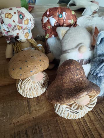 Verschillende kabouters (Gnome)