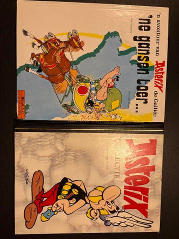 Asterix: 'n Gansph Toer & De Roos en het Zwaard (2 boeken)