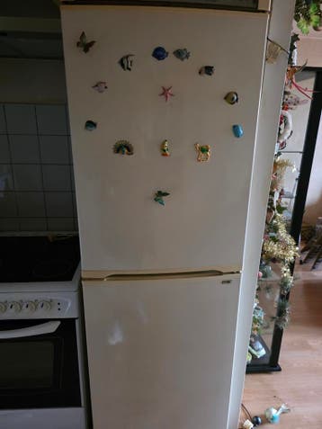 Koelkast met vriesvak