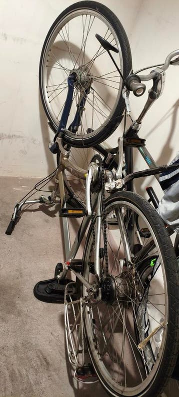 Batavus Supreme – Gratis af te halen