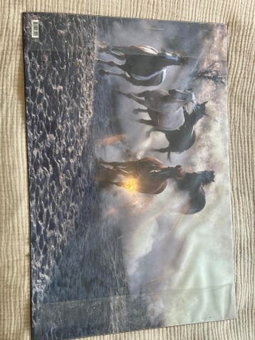 Bureau mat met rennende paarden