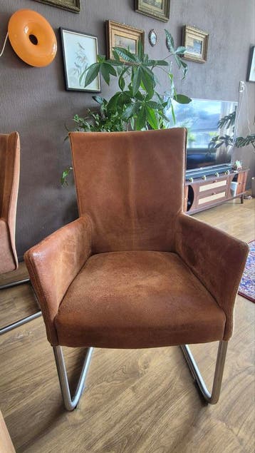 Set van 6 comfortabele eettafelstoelen - lichtbruin