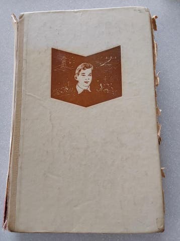 Bas Banning en de Vliegende Cowboys jongensboek