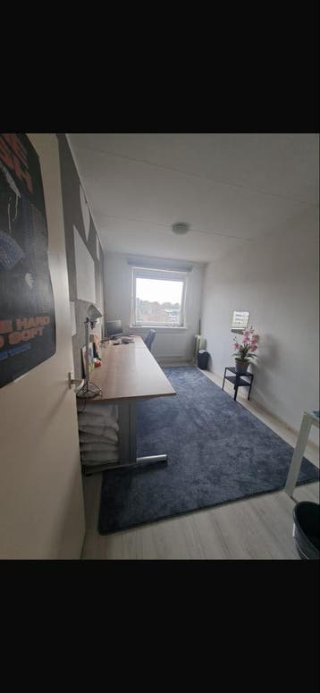 Bureau 120cm - Ideaal voor Thuiswerkplek of Studiekamer