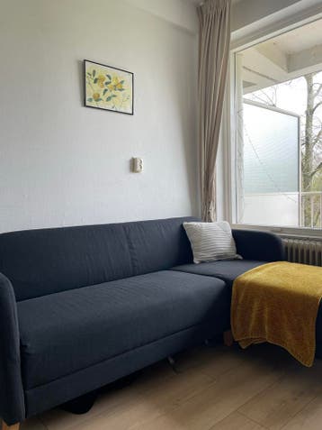 IKEA Linanäs Hoekbank met chaise longue - donkergrijs
