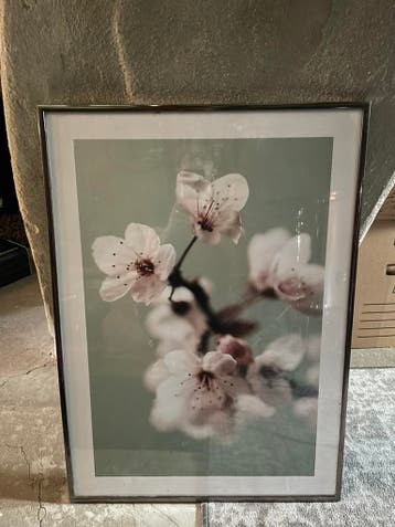 Bloemen poster in lijst