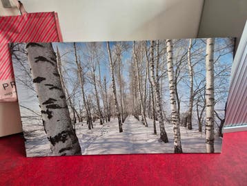 Winterschilderij buiten!  140x80