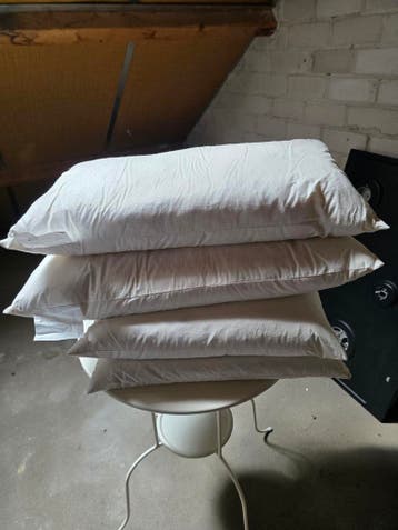 6 binnenkussens, wit