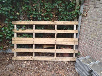 Gratis ophalen: palet