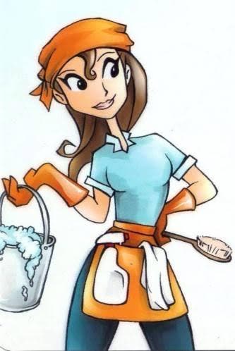 Flexibele schoonmaakster in Groningen