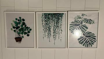 Fotolijsten/schilderijen met botanische print
