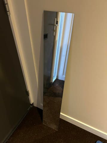 Spiegel 20 x 120 cm gratis af te halen!