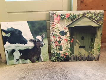 Twee schilderijen Gratis ophalen in Gouda