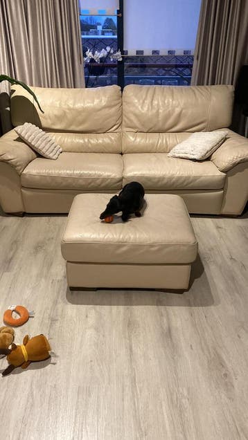 Bankstel Natuzzi 3 sits met poef