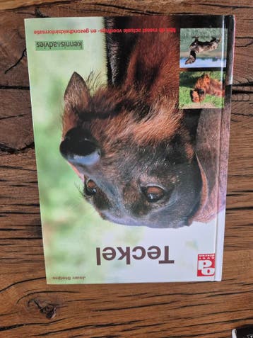 Leesboek Teckel - Kennis & Advies over voeding en gezondheid