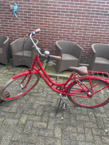 Vandaag gratis ophalen fiets