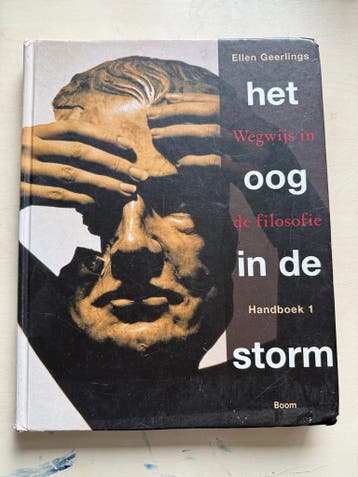 Het Oog in de Storm: Wegwijs in de filosofie - Ellen Geerlin