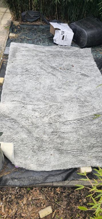 GRATIS Scandinavisch kleed xl 300x200 grijs hoogpolig