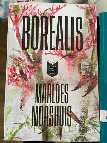Borealis - Marloes Morshuis