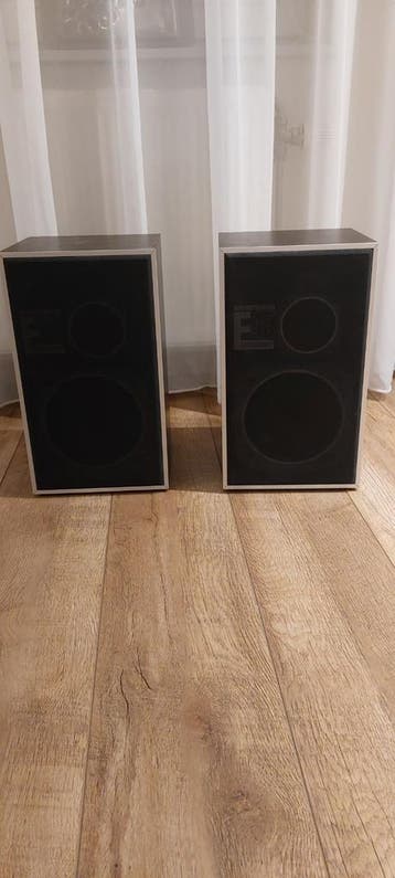 Svenska E45 Boekenplank Speakers - Vintage Geluid