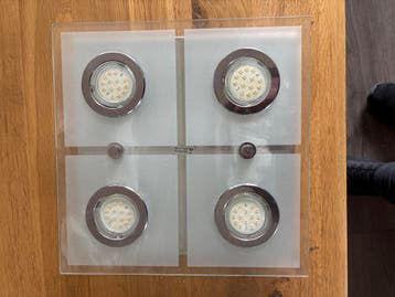 Gratis af te halen plafondlamp met LED lampen