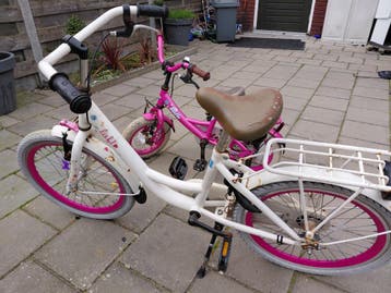 3 meisjes fiets