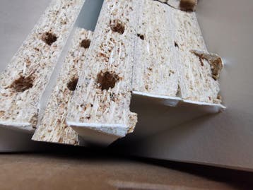 GRATIS Nieuw maar beschadigd. Billy boekenkast. Laag/wit