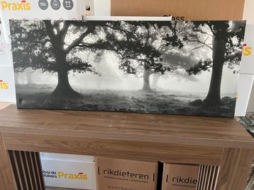 Gratis afhalen: Fotoposter zwart-wit bos 140x56 cm