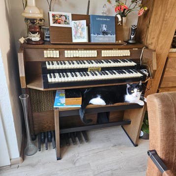 PACHTIGE EMINENT ORGEL GRATIS