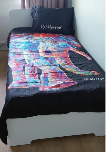 Eenpersoonsbed gratis aftegeven