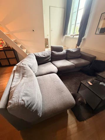 Grijze Grote Hoekbank (gratis)