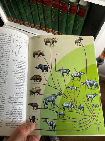 Grzimeks Tierleben - Complete set 13 volumes