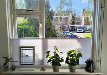 Gratis: plissegordijn (2 meter breed)