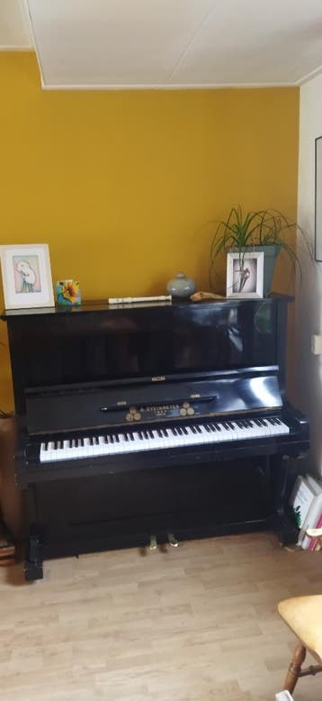 Piano Steinmeyer gratis