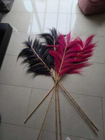 Gratis af te halen pluimen - veren