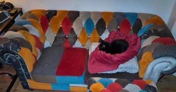 Laatste Kans op gratis chesterfield , jan frantzen, patched