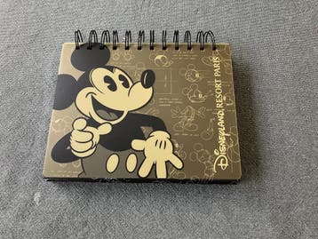 Disney fotoalbum