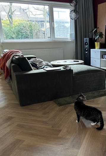 Hoekbank met chaise longue groen 275 cm bij 170 cm