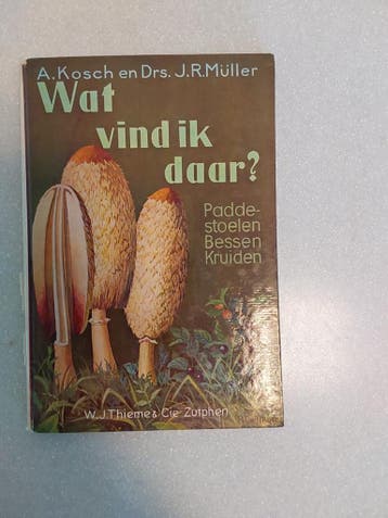 Wat vind ik daar? Paddenstoelen Bessen Kruiden