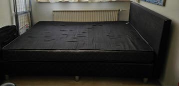 Twijfelaar bed