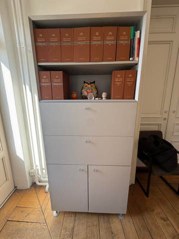 Gratis af te halen: stevige archiefkast ( 2 meter hoog)