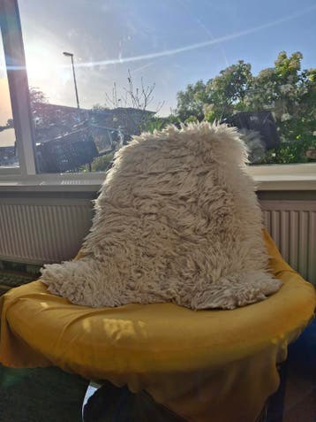 Ruime draaistoel met staalkleurige voet - IKEA (gebruikt)