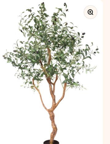 GEZOCHT Kunst olijfboom