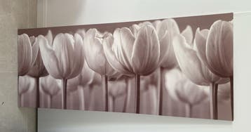 Schilderij met tulpen