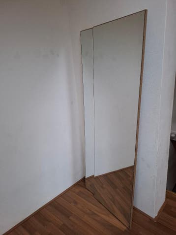 2 spiegels (full body grootte)