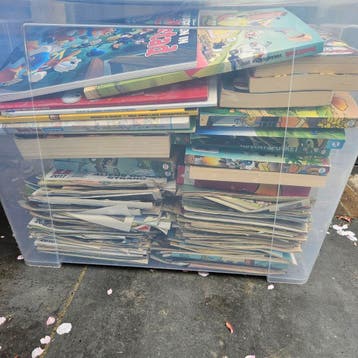 Grote verzameling Donald Duck weekbladen en pockets