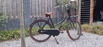 Leuke dames opknapfiets