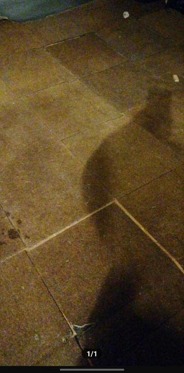 GEZOCHT EEN VAKMAN DIE VLOER KAN REPAREREN HoutEN vloer rot