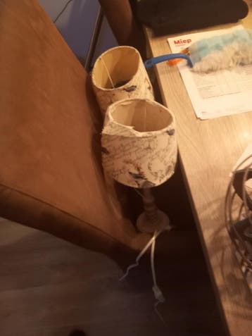 2 schemerlampjes kapjes vogelmotief gratis opte haalen